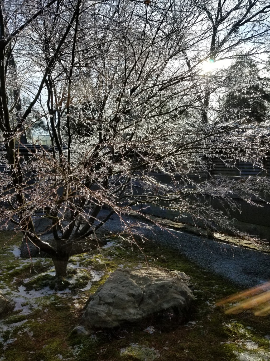 Beautiful Day/ Not-so-Beautiful Garden