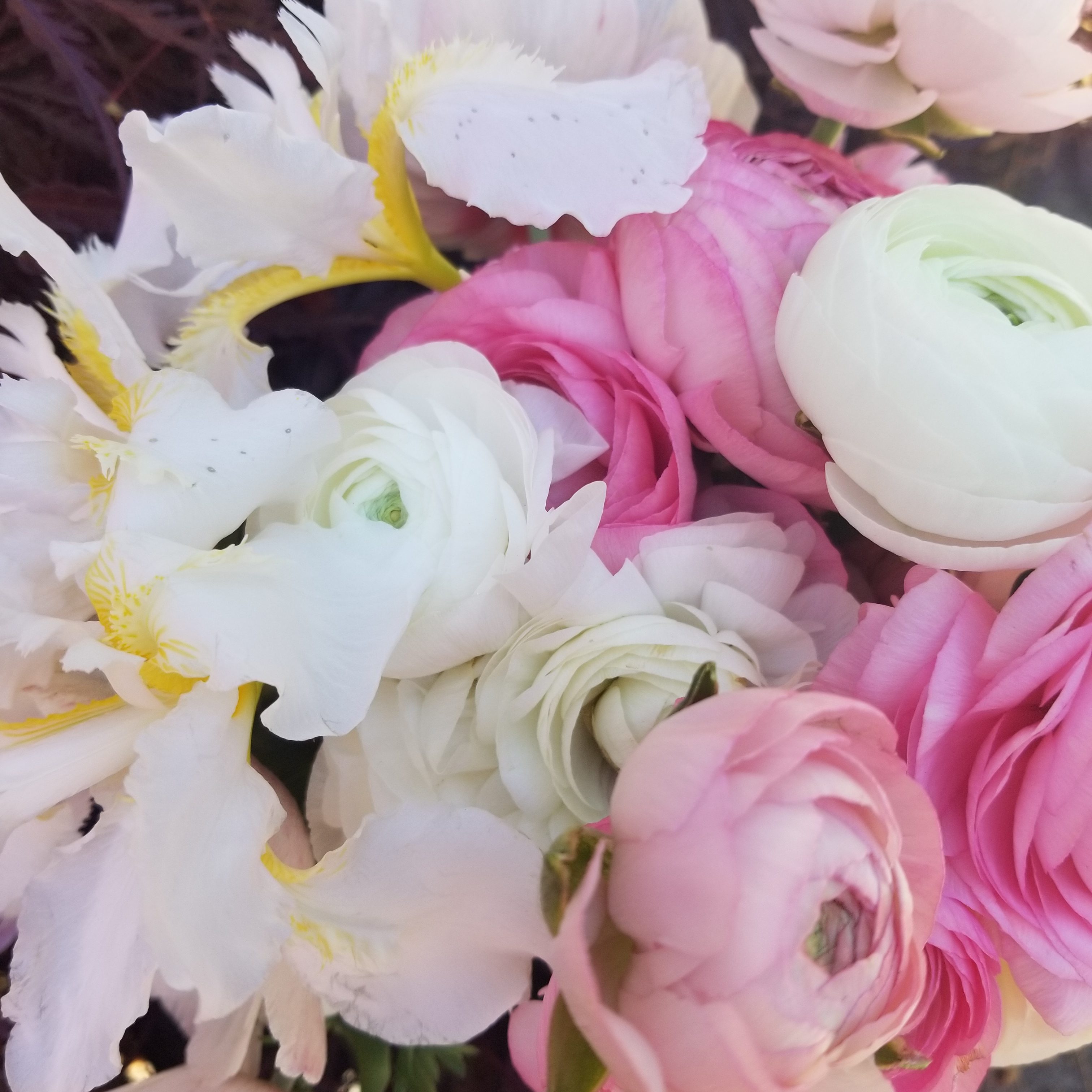 Arrangement of white, blush pink, and rose ranunculus with white Japanese iris
